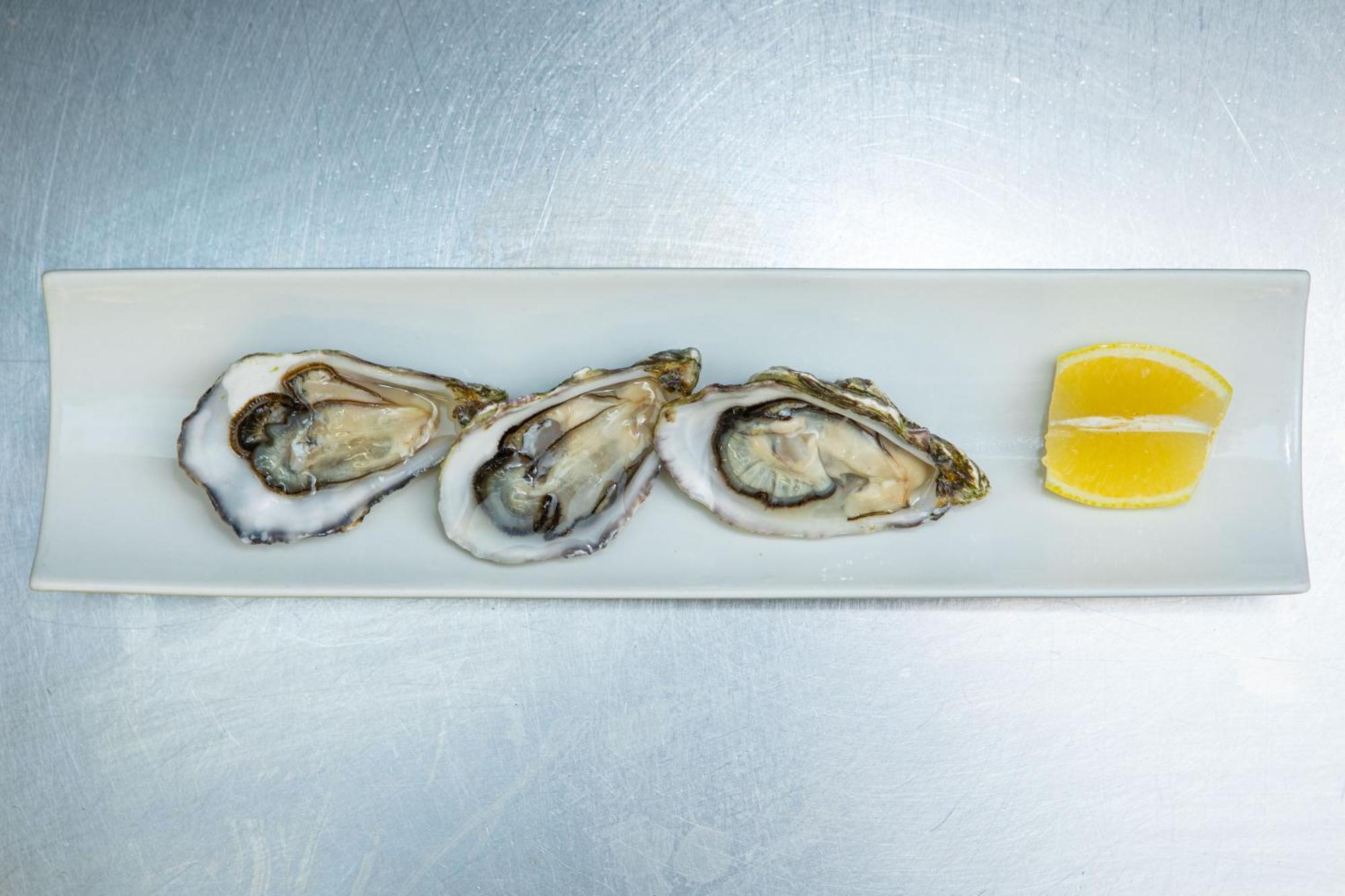 Ashes Seafood Restaurant Accommodation Dingle Luaran gambar