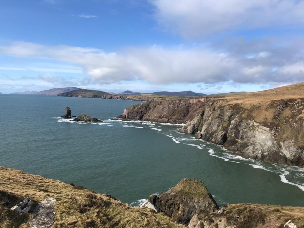 Ashes Seafood Restaurant Accommodation Dingle Luaran gambar
